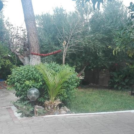 Panos And Chrisas House Villa Drepano  Luaran gambar